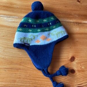 Patagonia Wool Hat
